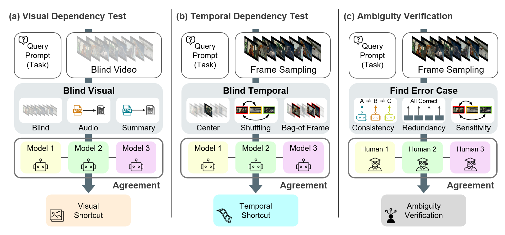 Overview of the Video-Oasis diagnostic suite.